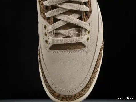Palomino  CT8532-102  Retro Jordan 3 CT8532-102 0611